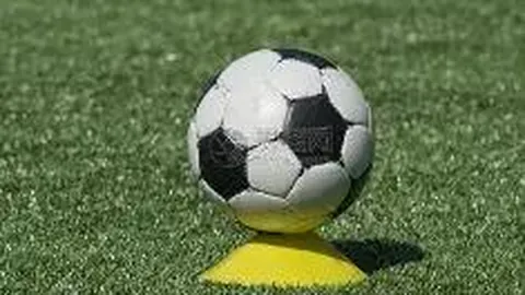 雄鹿迎强援加盟，字母哥续约备战新赛季开启