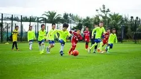 【PA6行情分析】成本支撑力提升，PA6市场价格攀升