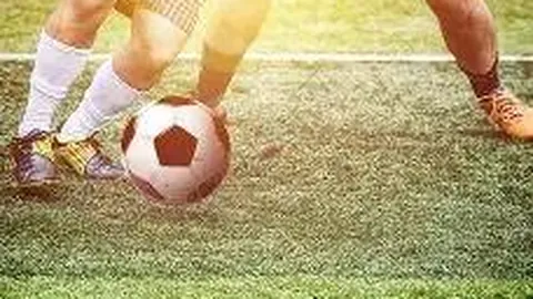 【双色神韵】2026012期双色球独家揭秘：资深彩友多年精华，12红2蓝预测来袭！